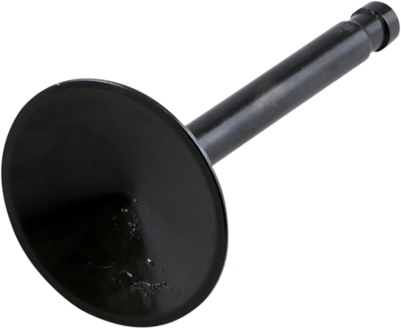 DS198971_0.png
