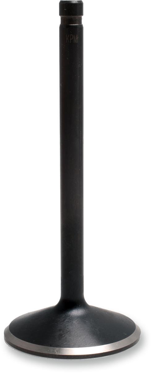 DS198973_0.png