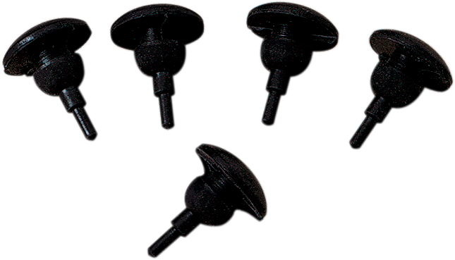 DS240008_0.png
