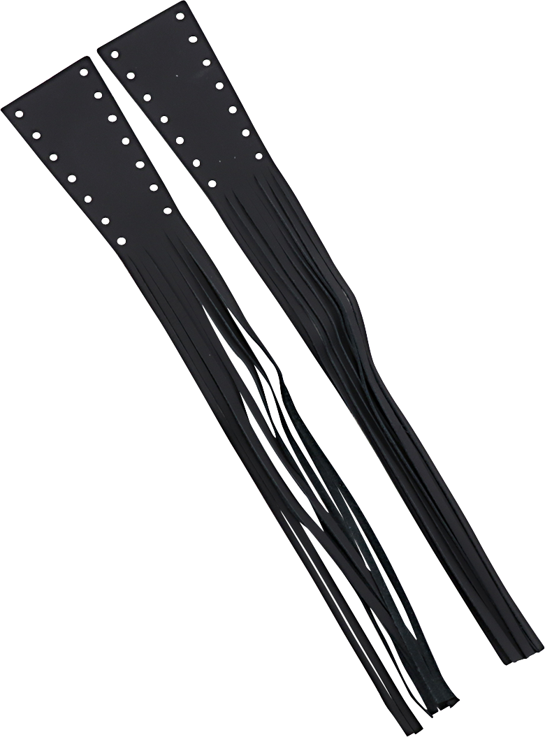 DS243063_0.png