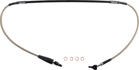 MS011035_0.png