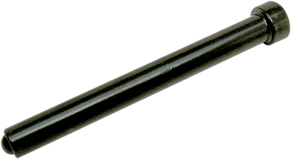 P562_0.png