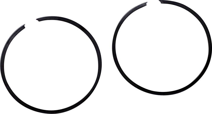 R09695_0.png