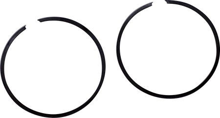 R09695_0.png