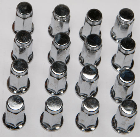 beca-572a758f1146e.jpg